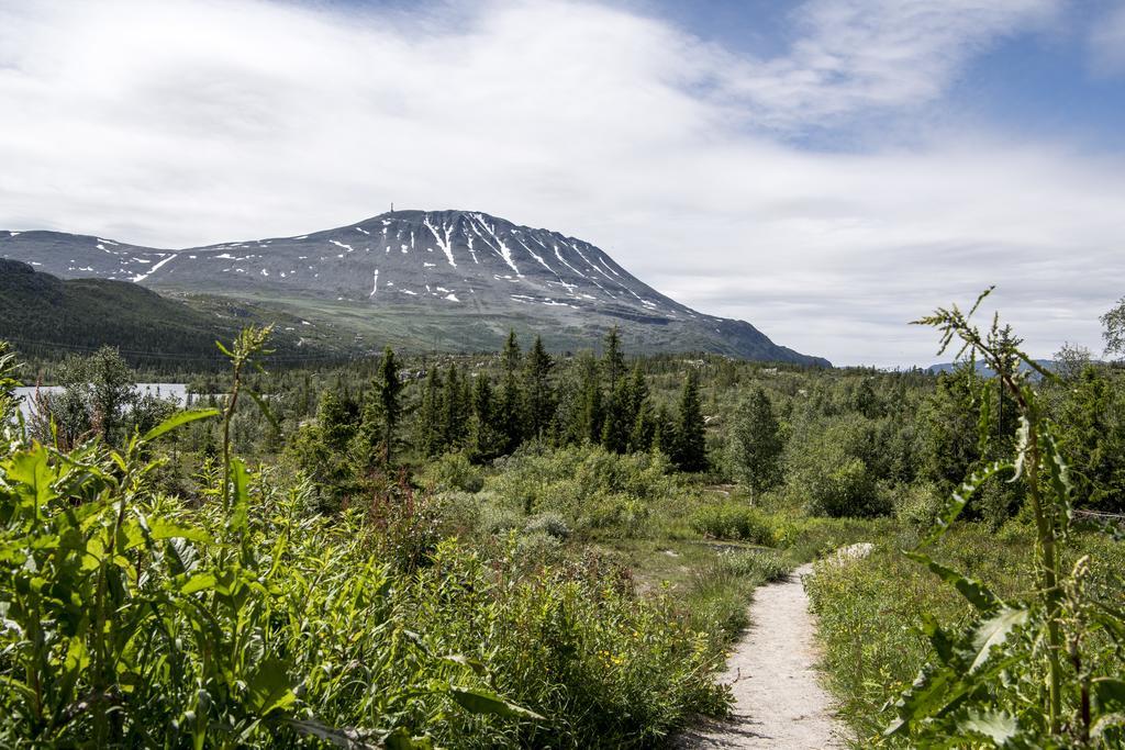 Kvitavatn Fjellstue Gaustablikk Экстерьер фото